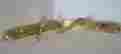 14e50000 Pella Bright Brass Interior Patio French Door Handles 14e40000