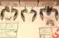 5057 Emtek Modern Mercury Door Levers 1 Left Hand Privacy Set 2 Dummy Pairs Chrome