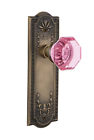 726282 Nostalgic Warehouse Waldorf Interior Mortise Door Knob With Meadows Plate