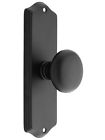 8010pus19 Emtek Colonial Revival Door