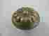 A1452-aem Creations By Alno New 1-1 2 Bella Suite Knob Lots Of