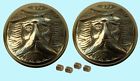 23035 Bright Solid Door Pair Northwind Supply Knob Brass Renovator