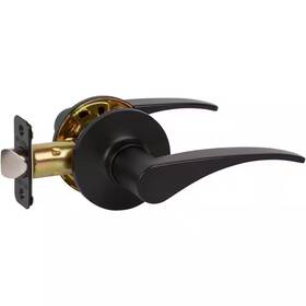Delaney Hardware 744759509567 Contemporary Dayton Black Hall/closet Door Lever