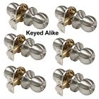 Dl607snet-combo-us6pack Probrico Brushed Nickel Keyed Alike Entrance Door Knob 718399738090