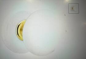 82001wus7 Emtek M510iwus3 Ice White Porcelain Door Knob Set -porcelain Round Rosette