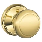 F170 F170-and Schlage F170and605 Single Dummy 043156225132