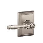 F40 Bir 619 Add Schlage 043156288298