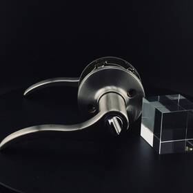 Albemarble-ftsalbprrvus15 Fortis Ftsalbprrvus15 Lovely Satin Nickel Privacy Lever-fortis Albemarble-ftsalbprrvus15- Contemporary