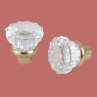 26001 Supply Knob Brass Renovator Shanks Pair Glass Door Clear