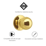 Design House Ball 2-WAY Latch Dummy Door Knob In Polished Brass. Fixed Price $27.12.