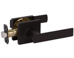 Delaney Black Passage Lever Door Handle Kit D52519 501T-HK-US19 Hall & Closets. Fixed Price $15.99.