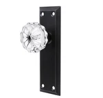 Toptotoo Single-side Glass Dummy Door Knobs, Inactive For Closet. Fixed Price $20.00.