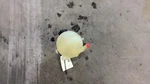 Coolant Reservoir Fits 16-25 Malibu 728733. Fixed Price $109.90.