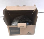 Schlage F170-VLA-609-ADD Avila Non Turning 1-SIDED Dummy Door Lever Brass. Fixed Price $17.90.