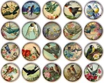 Set Of 20 Vintage Birds By Ets Ceramic Drawer Pulls Dresser Cabinet Knobs. Fixed Price $79.80.