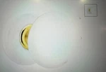 Emtek 8100IWUS7 Ice White Door Knob -porcelain Round Rosette. Fixed Price $110.07.