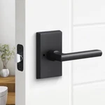 Sure-loc Ridgecrest Mountain Door Handles Black Modern Rectangle Logan Lever. Fixed Price $89.99.
